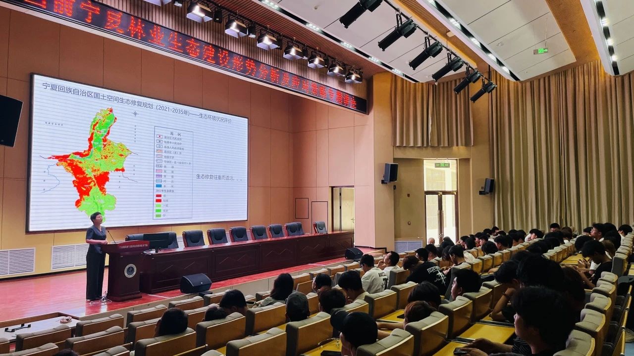 1717656637850264.jpg 5.jpg