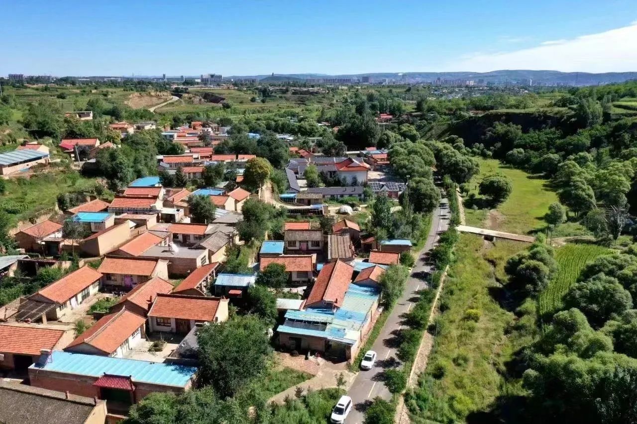 1717656980133704.jpg 5.jpg